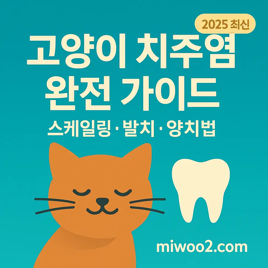 고양이 치주염 스케일링 발치