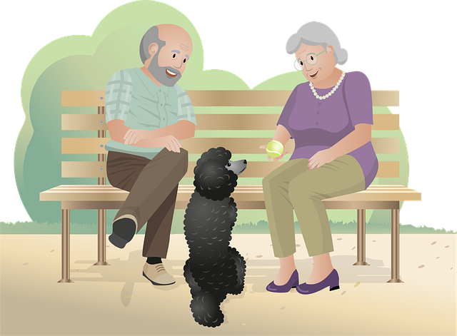 기초연금 부부수령액