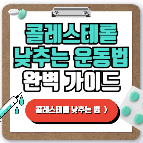 콜레스테롤 수치 낮추는 운동법