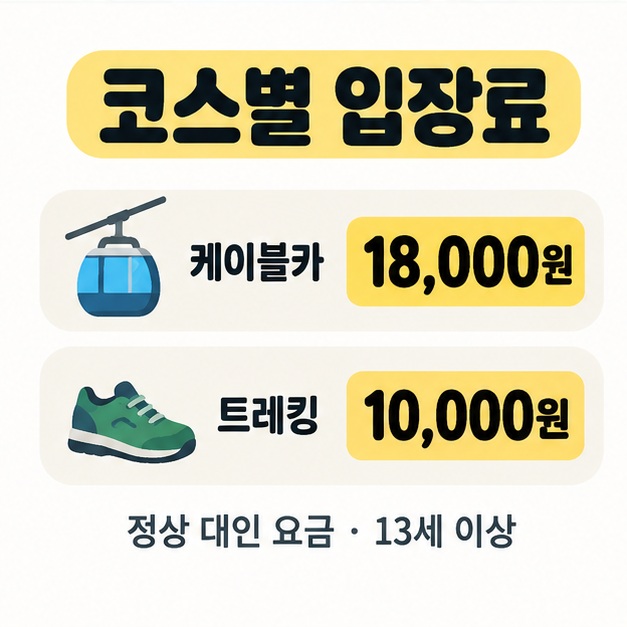 13세 이상 정상 대인 요금인 케이블카 코스 18,000원과 트레킹 코스 10,000원을 비교한 안내