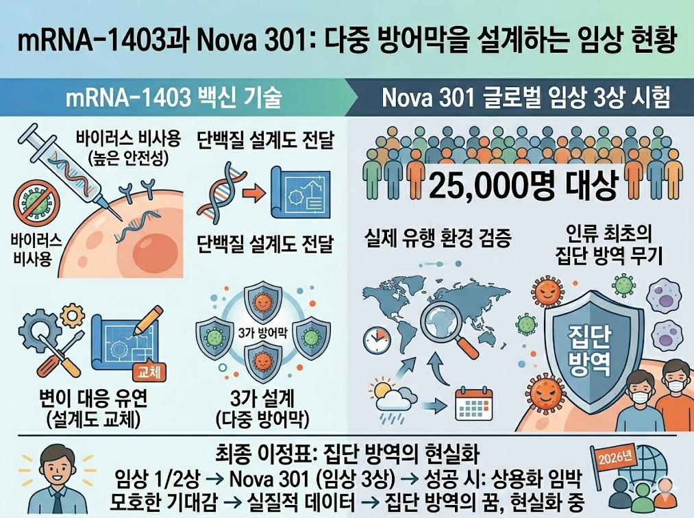 mRNA-1403 및 Nova 301 임상 3상: 25,000명 규모 다중 방어막(3가) 설계와 집단 방역 현실화 인포그래픽