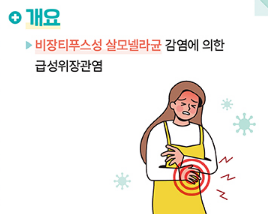 여름철 살모넬라균 감염증 예방방법 개요