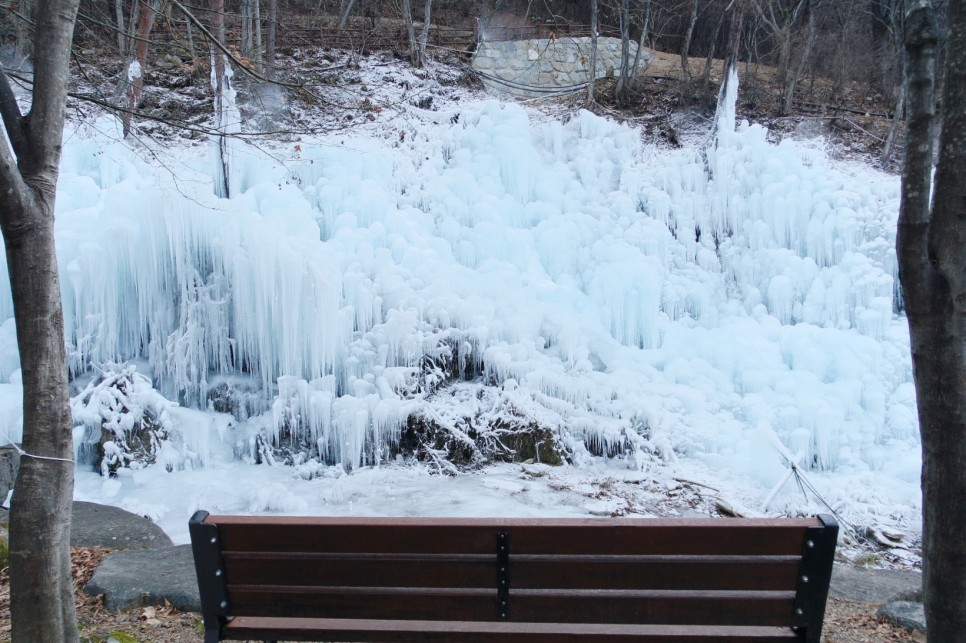 대구 근교 겨울여행