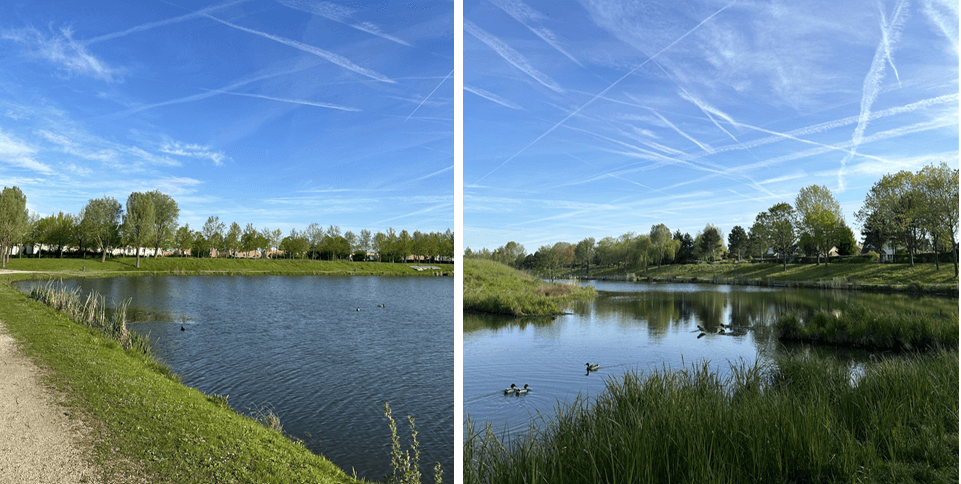 숙소-근처-호수-경치