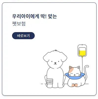 보험 비교