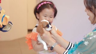 양동근 이혼