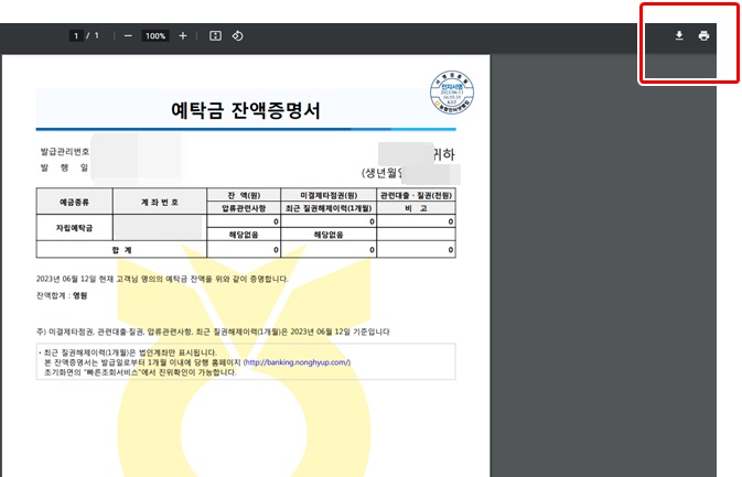잔액증명서PDF