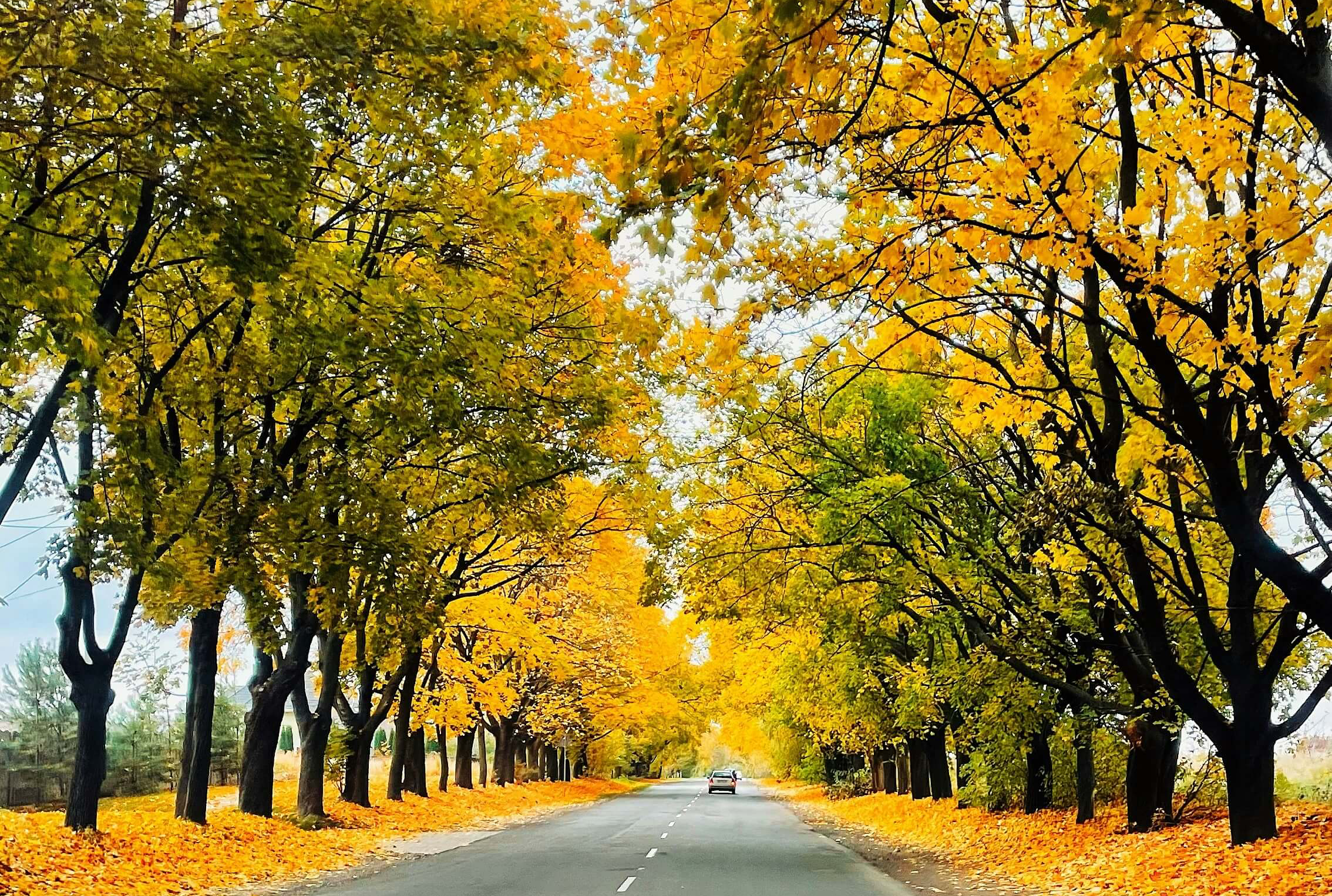 지역별 공공 자전거