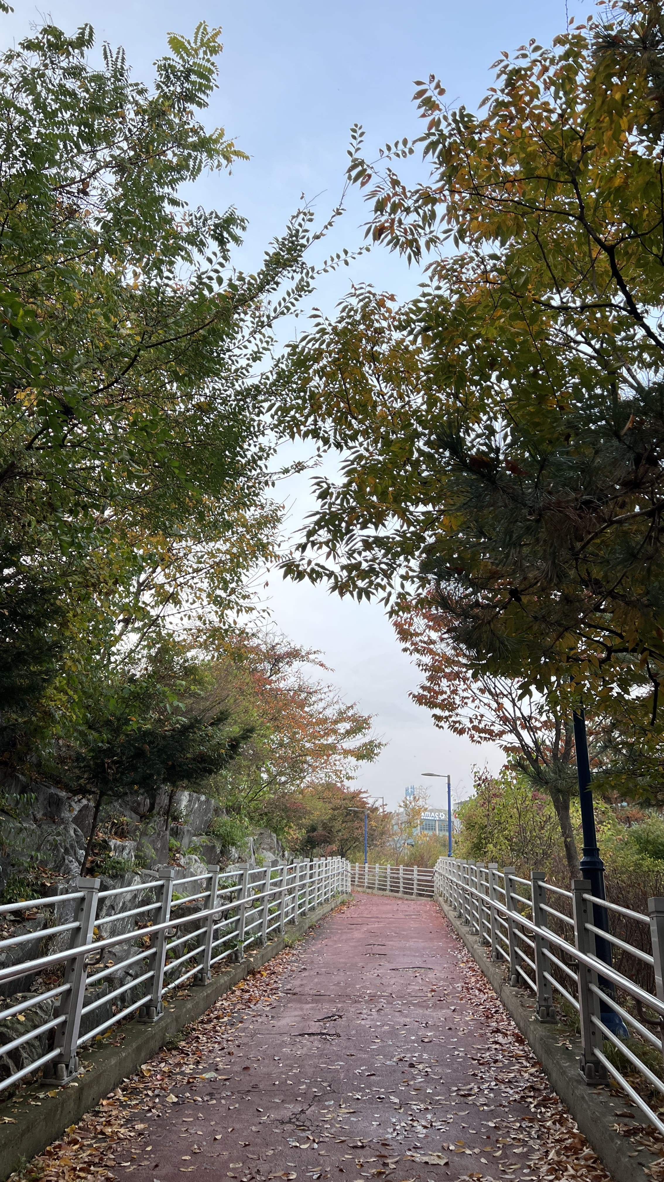 여의도 한강공원 