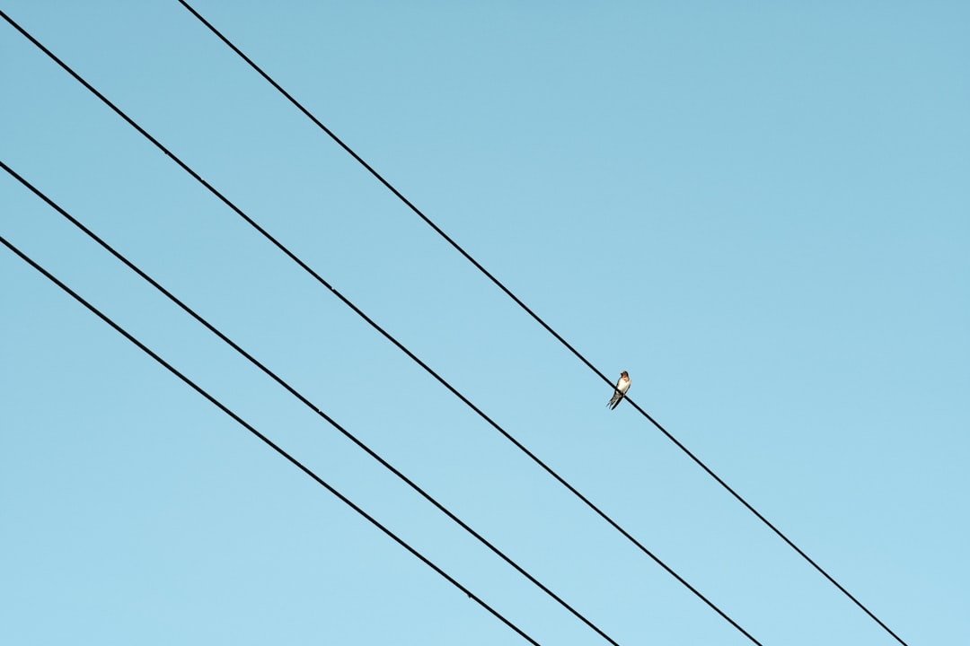 Conduction.