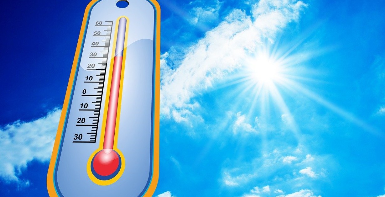 더위 먹었을 때 증상