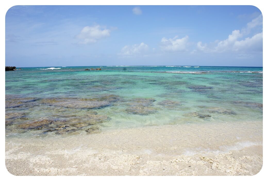 와이메아-베이-해변-바닷가-낮-찍은-사진