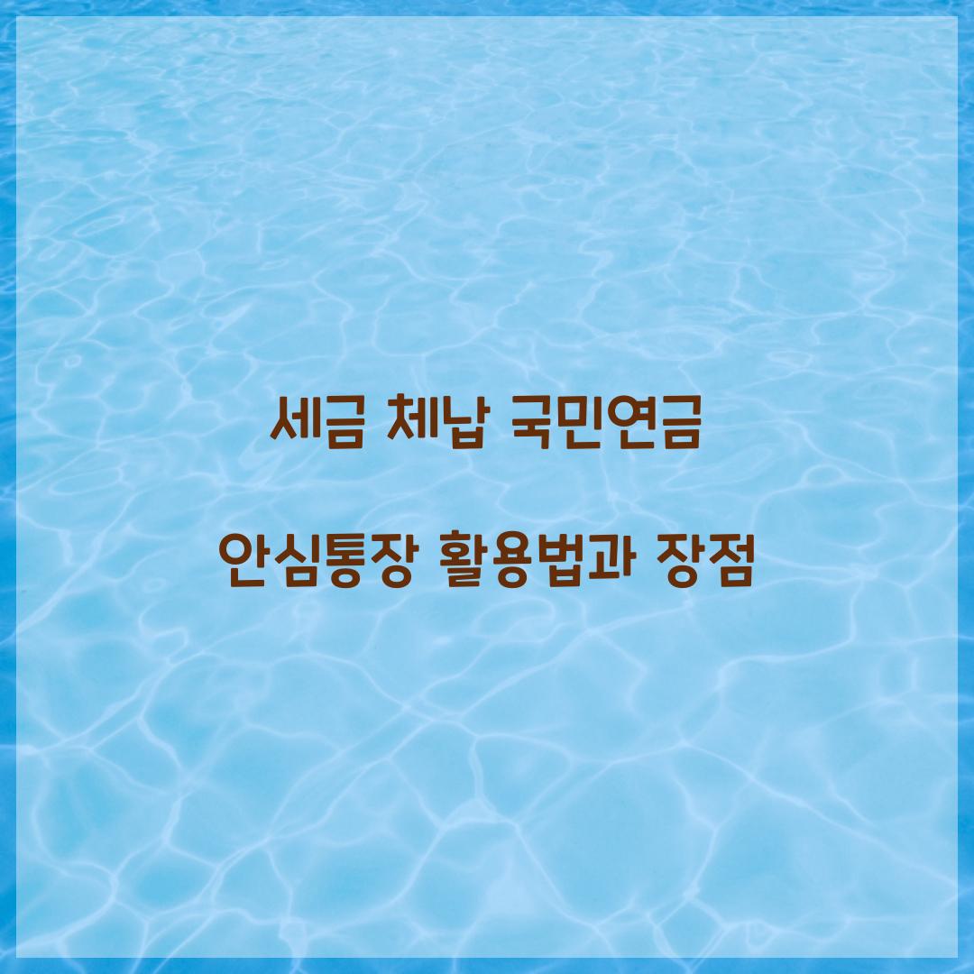 세금 체납 국민연금 안심통장