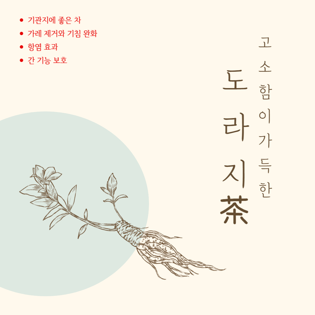 도라지차 효능 부작용