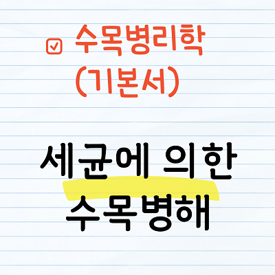 세균에 의한 수목병해