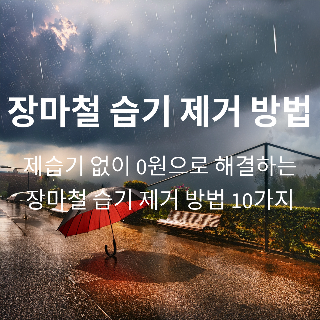 제습기 없이 0원으로 해결하는 장마철 습기 제거 방법 10가지