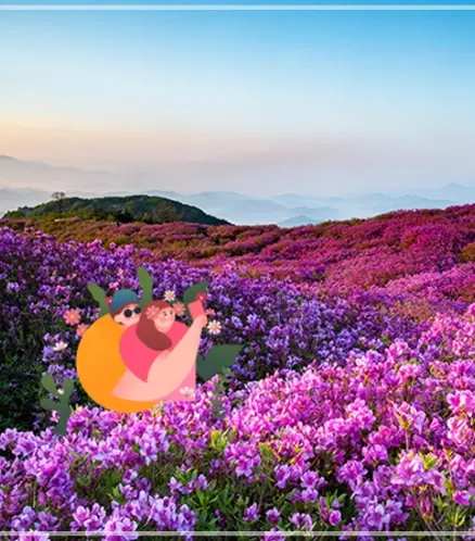 황매산-철쭉축제-기간-일정-정보