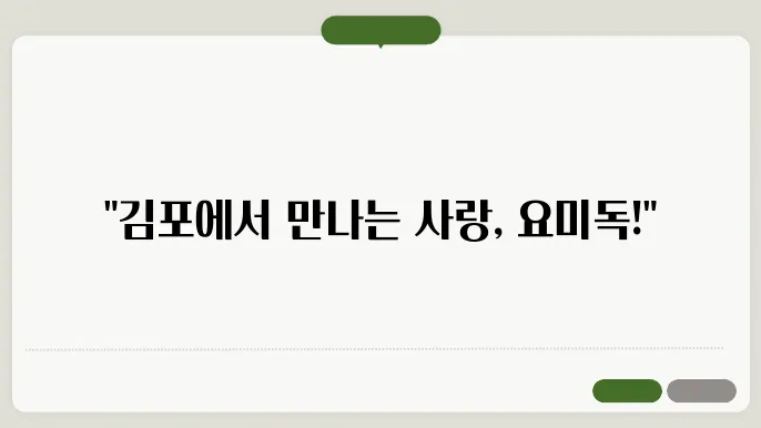 강아지 생활 환경 조성