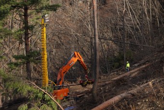 임업공익직접지불금