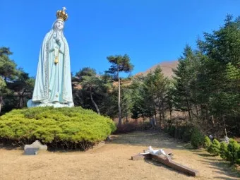 천진암 흰민들레 백양자연관찰로 괭이눈 개화_16