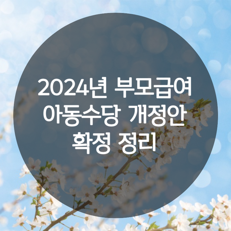 2024년 부모급여 아동수당개정안 확정정리