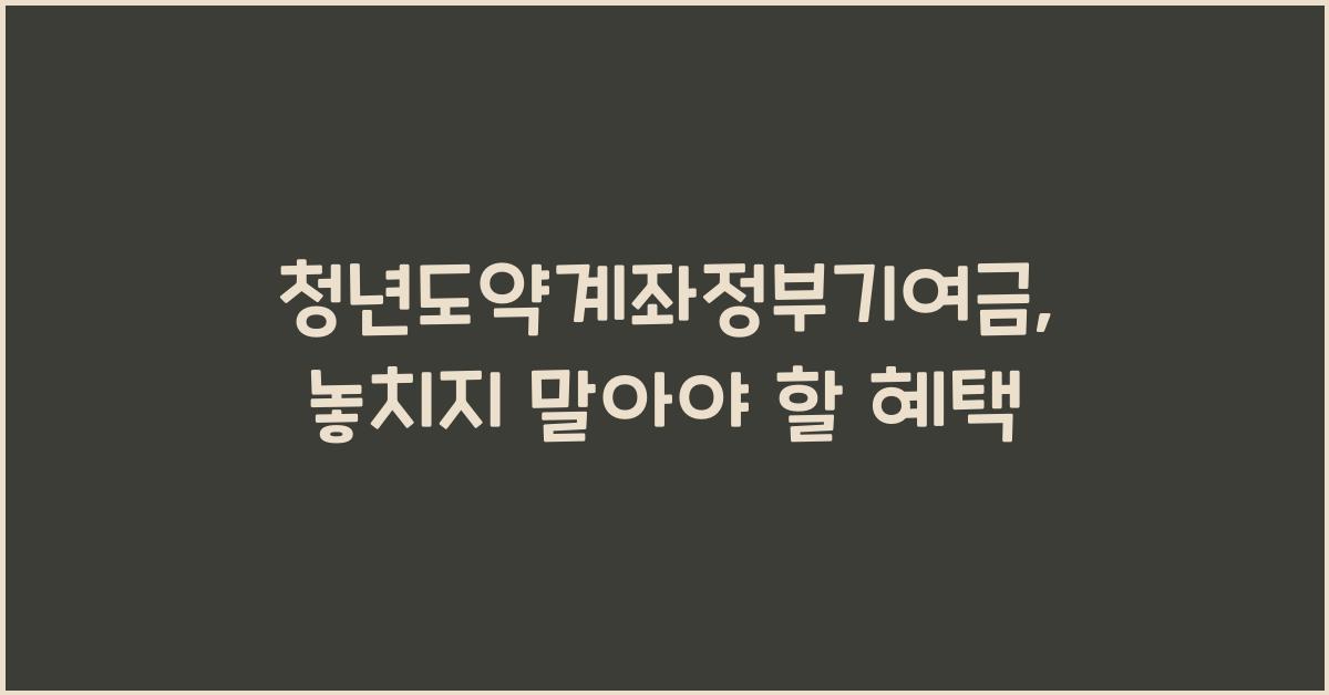 청년도약계좌정부기여금