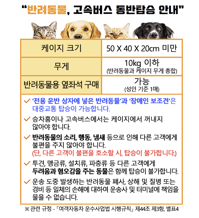 반려견 고속버스 탑승 안내 사진