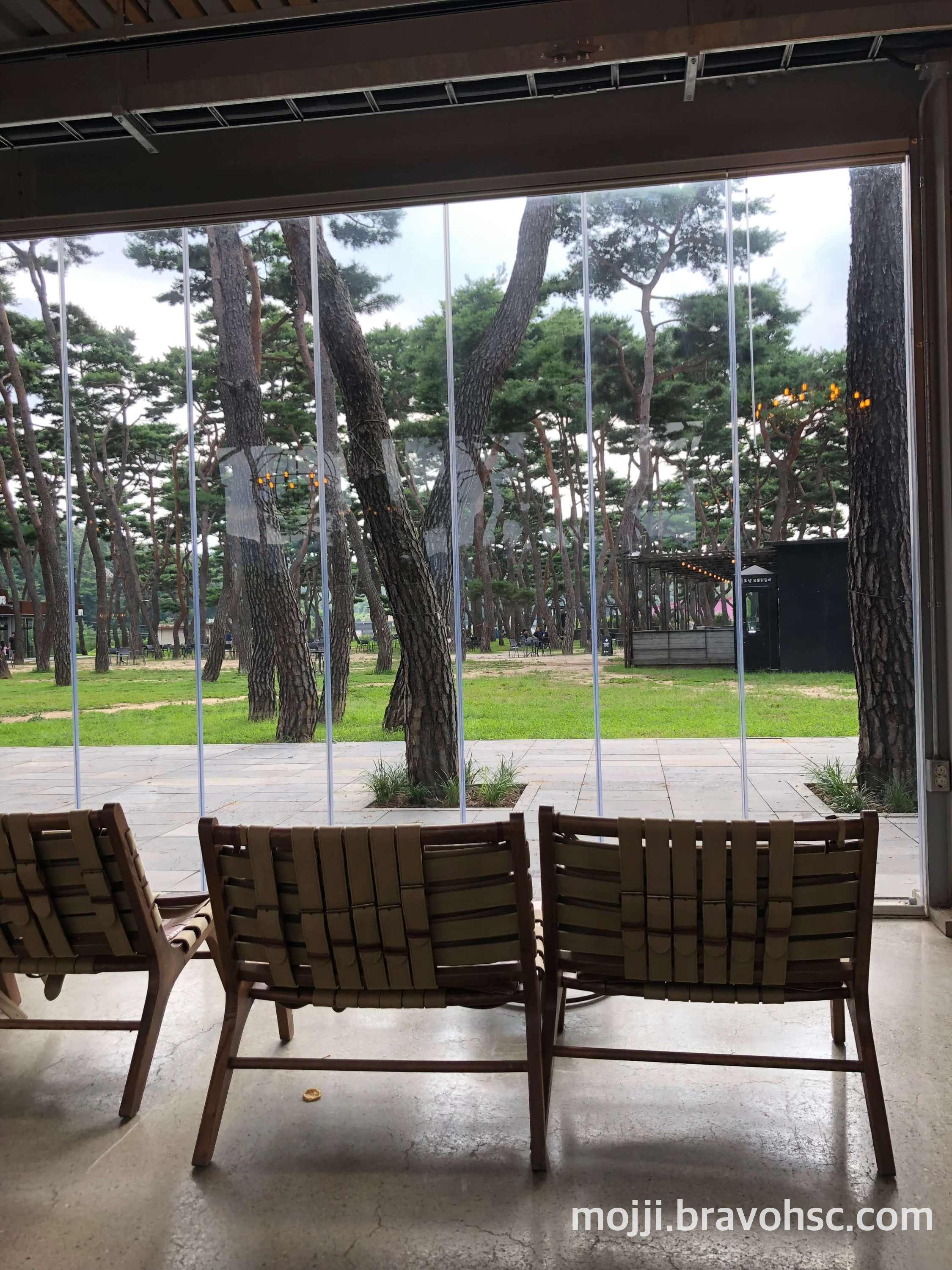 5번 건물에서 바라본 모습