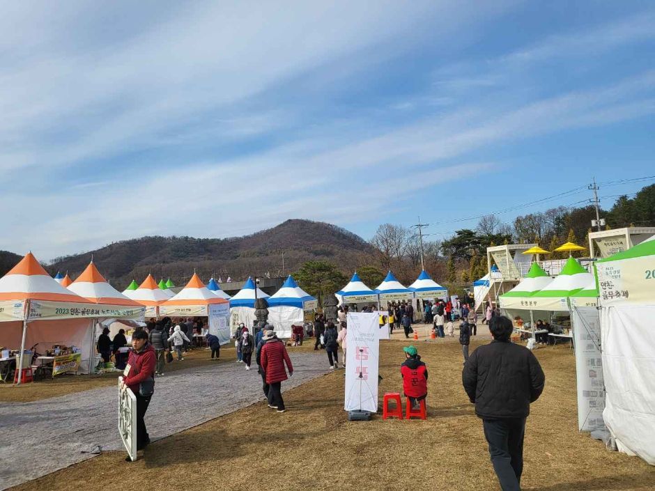 제3회 연천율무축제 기본정보와 프로그램 정리