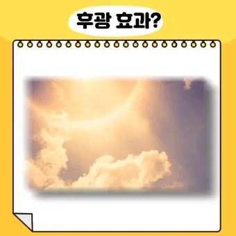 후광효과 뜻 실제 사례 유래 반대 개념 비판 시각_10