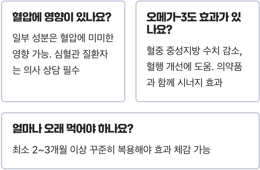 혈액순환제 효능, 정말 효과 있을까? (원리, 성분 총정리)