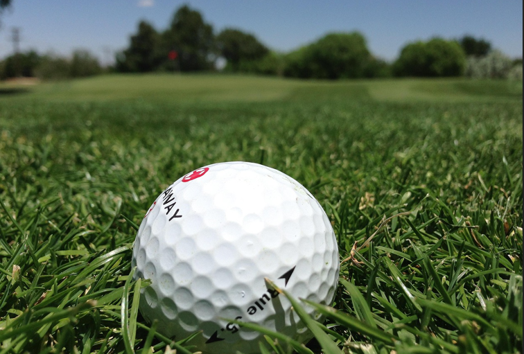 골프공 잔디