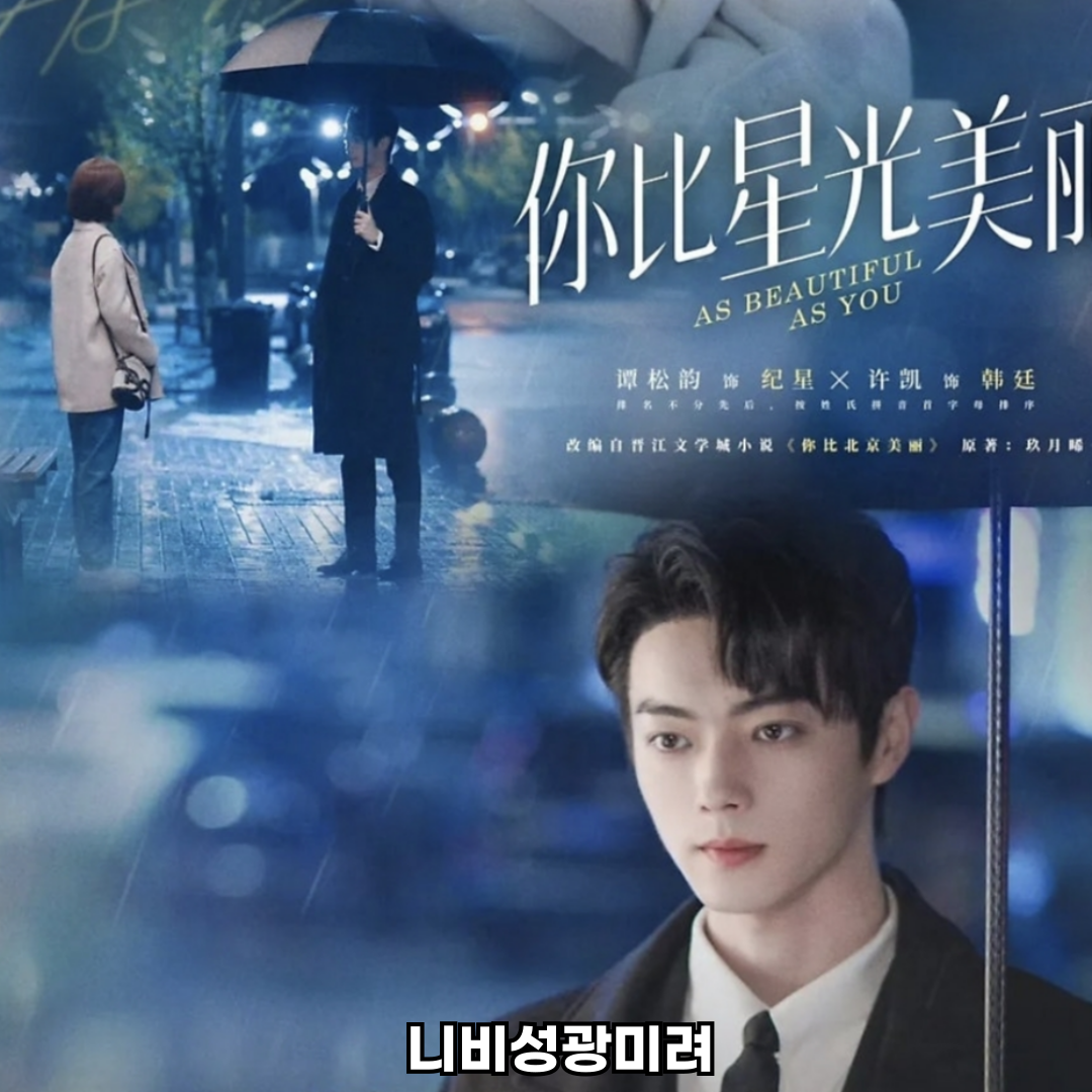 니비성광미려 중드 로맨스