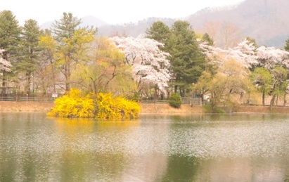 청평내수면연구소