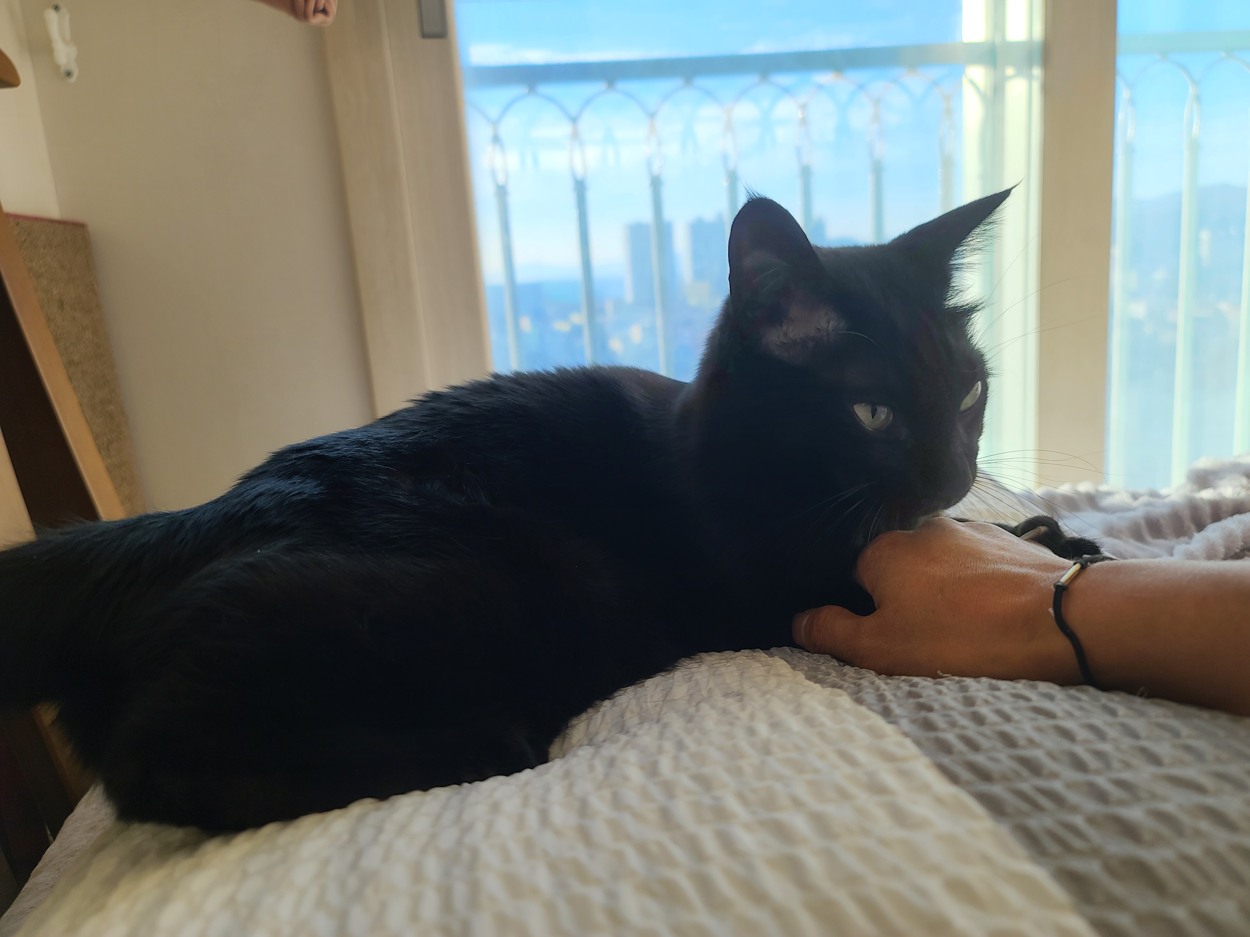 엄마랑 손잡고 잘래...?