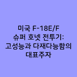 미국 F-18E/F 슈퍼 호넷 전투기