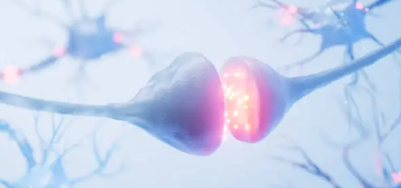 신경압박 증상&amp;#44; 원인&amp;#44; 치료법 총 정리 (2025 최신)