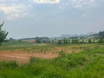안성 가볼만한곳 베스트10 여행 당일치기 코스_24