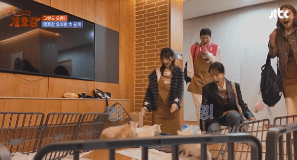JTBC 힐링 예능 &amp;#39;집나가면 개호강&amp;#39;소개 &amp; 촬영지 정보