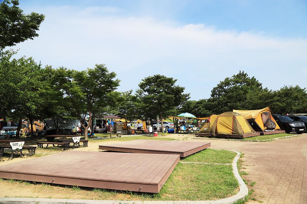 레전드 캠핑장 송지호오토캠핑장 소개