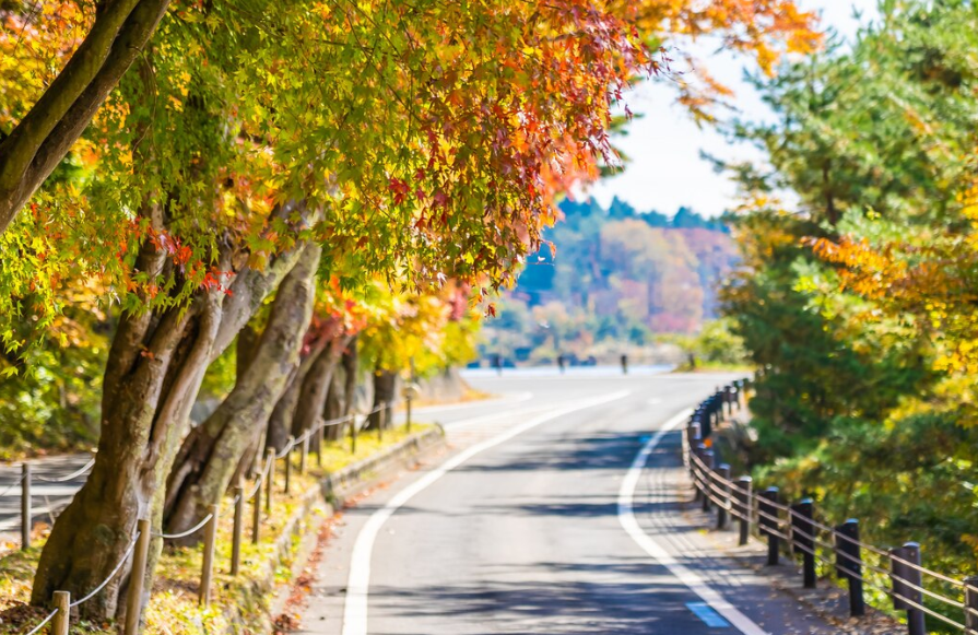 오색주전골 단풍 코스