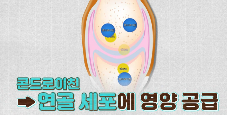 콘드로이친