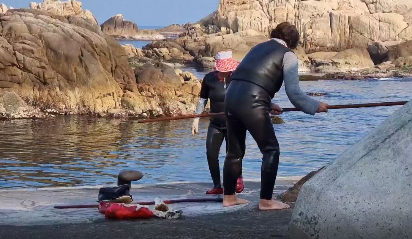 기장해녀