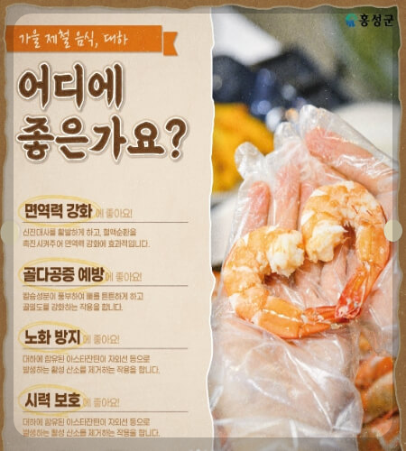 남당항 대하축제 대하 효능 · 레시피_1