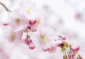 화담숲 예약 6