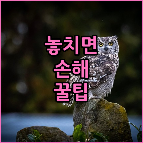 실버타운 입소의 모든 것: 연령, 건..