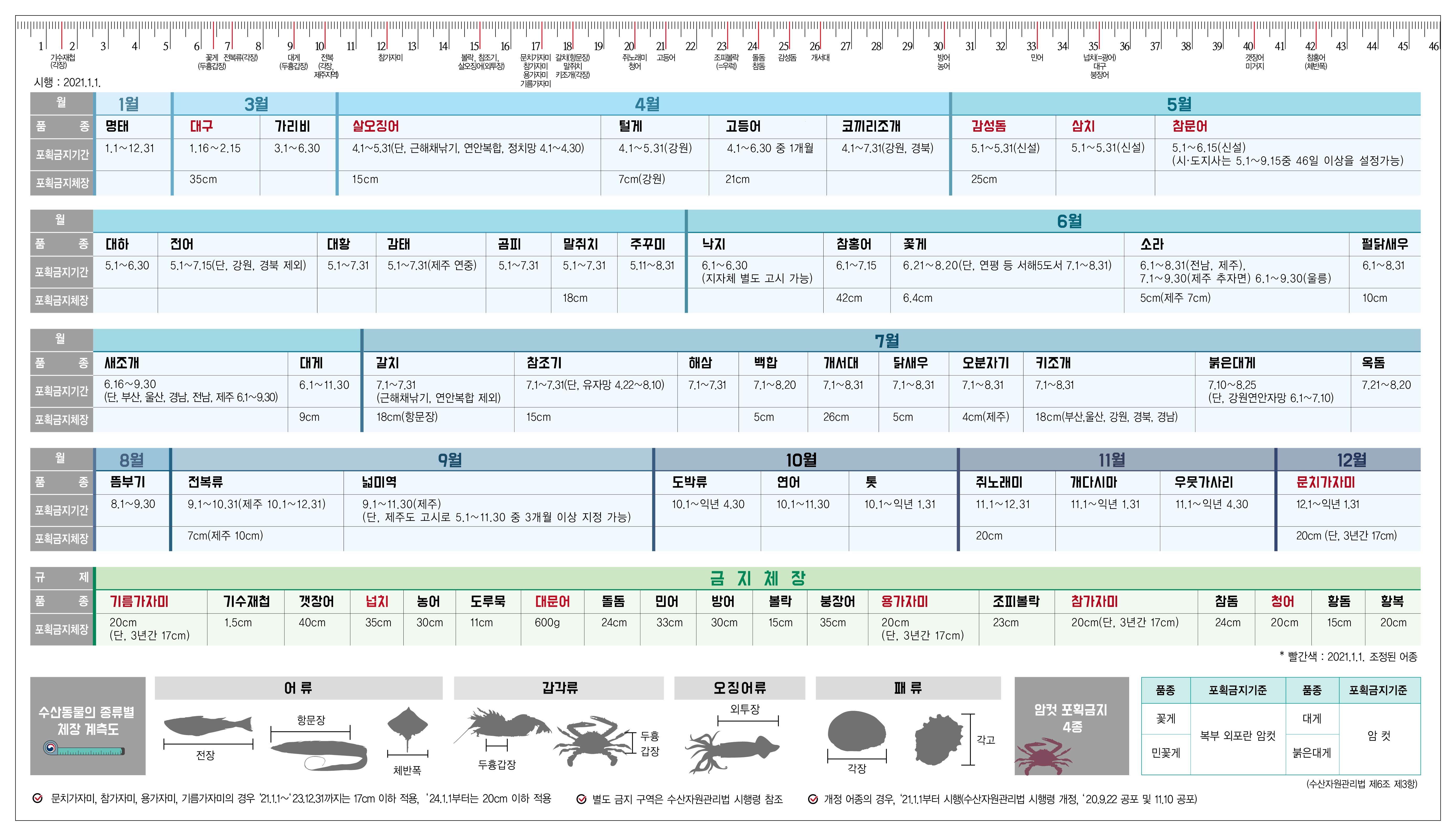 해양수산부 금어기 금지체장 리플릿