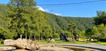 평창 가볼만한곳 베스트10 대관령 양떼목장 허브나라 드라이브_9