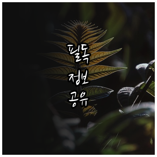 대한법률구조공단 2025 미혼모부 무..