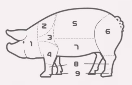 일러스트로 그려진 돼지 고기 부위별 표시